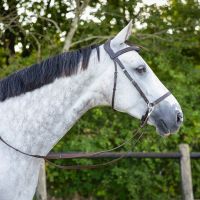 Bitless bridle Ceto incl. reins