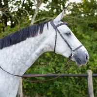 Bitless bridle Ceto incl. reins