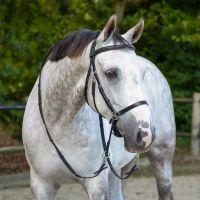 Bitless bridle Ceto incl. reins