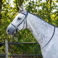 Bitless bridle Ceto incl. reins