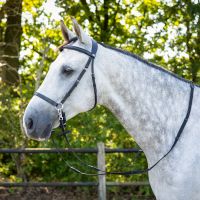 Bitless bridle Ceto incl. reins