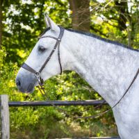 Bitless bridle Sunna incl. reins