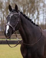 Bitless bridle Sunna