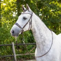 Bitless bridle Sunna incl. reins