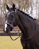 Bitless bridle Sunna