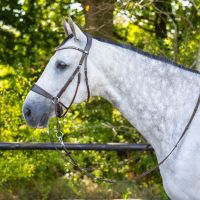 Bitless bridle Sunna incl. reins