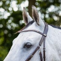 Bitless bridle Sunna incl. reins
