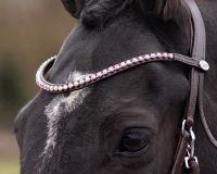 Bitless bridle Sunna