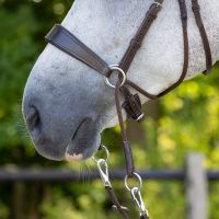 Bitless bridle Sunna incl. reins