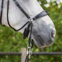 Bitless bridle Sunna incl. reins