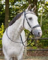Bitless bridle Sunna incl. reins