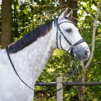 Bitless bridle Sunna incl. reins