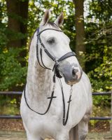 Bitless bridle Sunna incl. reins
