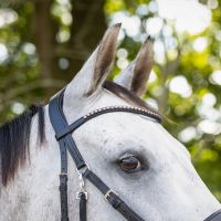 Bitless bridle Sunna incl. reins