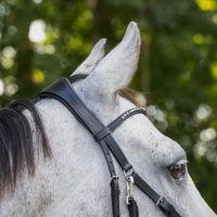 Bitless bridle Sunna incl. reins