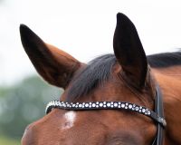 Bridle Orlando incl. reins