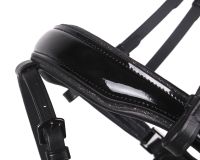 Bridle Orlando incl. reins