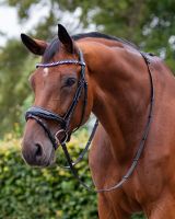 Bridle Orlando