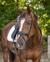 Bridle Orlando incl. reins