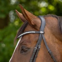 Bridle Orlando incl. reins