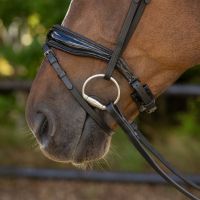 Bridle Orlando incl. reins