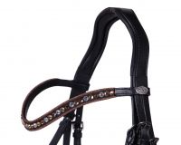 Bridle Orlando