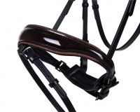 Bridle Orlando