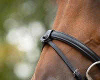 Flash noseband loop