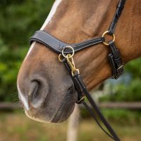 Bitless bridle Anatomical incl. reins