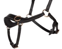 Bitless bridle Anatomical incl. reins