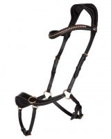 Bitless bridle Anatomical