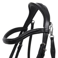 Bridle Salerno incl. reins
