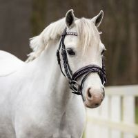 Bridle Bixie incl. reins