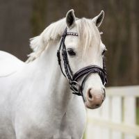 Bridle Bixie