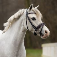 Bridle Bixie incl. reins