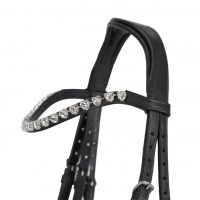 Bridle Bixie