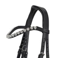 Bridle Bixie