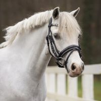 Bridle Bixie incl. reins