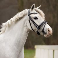 Bridle Bixie incl. reins