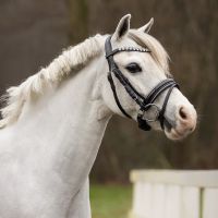 Bridle Bixie