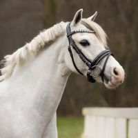 Bridle Bixie