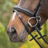 Bridle Sunset incl. reins