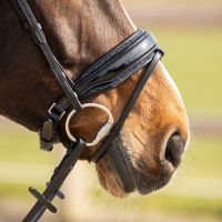 Exchangeable padding Skye