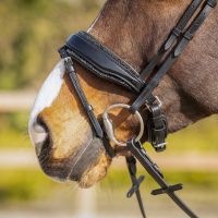 Exchangeable padding Skye