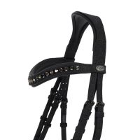 Bridle Glitter