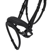 Bridle Glitter
