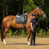 Bridle Glitter