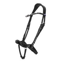 Bridle Fjara Icelandic