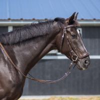 Low noseband