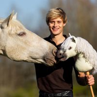 Nalanta Hobby horse